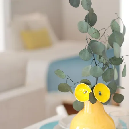 Almada Prime - Live In *