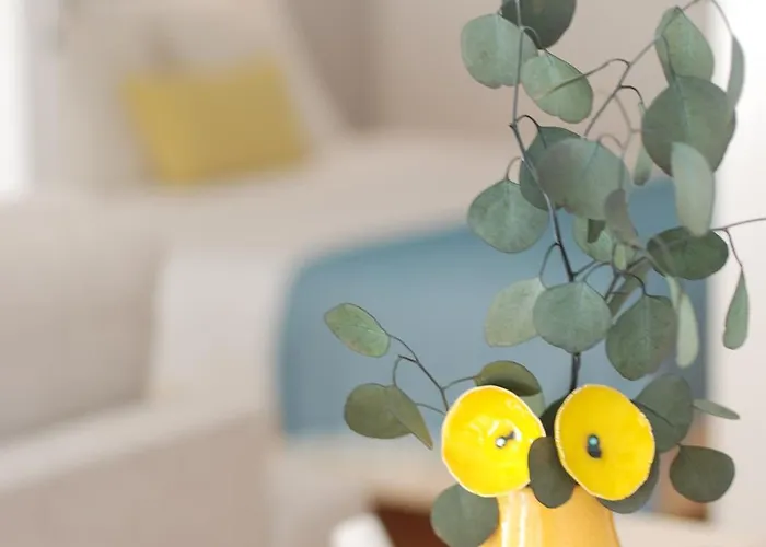 Almada Prime - Live In *