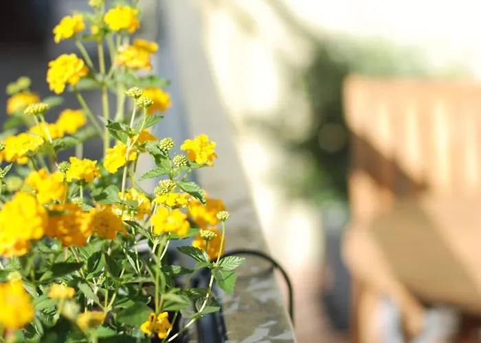 Almada Prime - Live In Porto